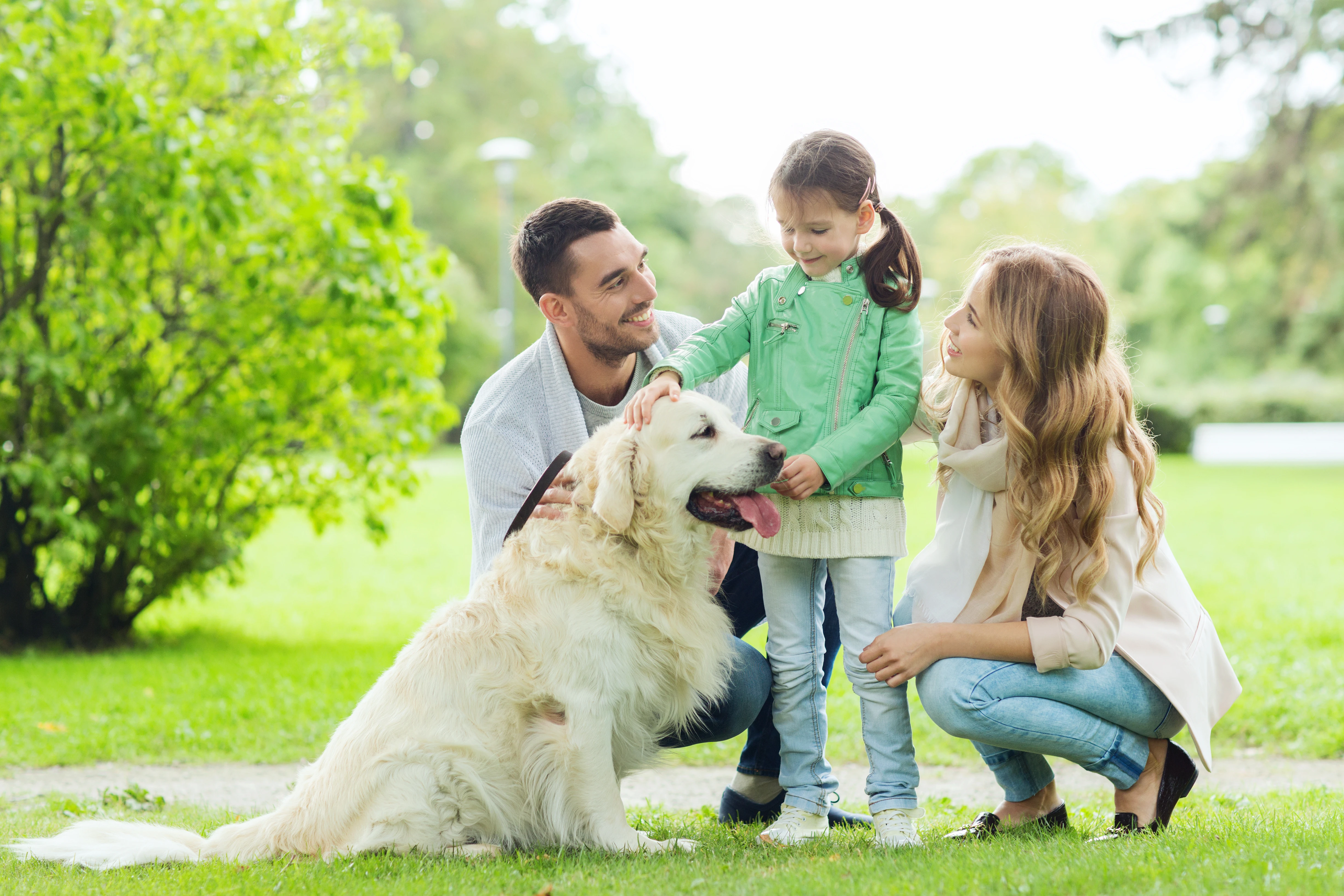 Perro de apoyo emocional con su dueño en Texas