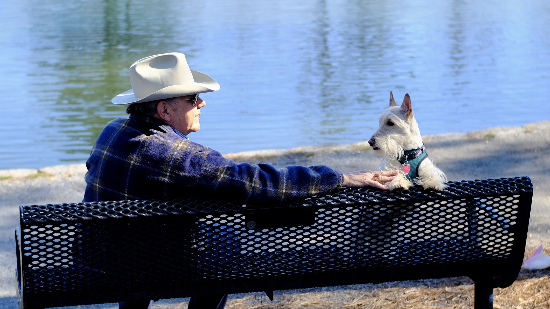 Bob sitting on a park bench with his emotional support dog Doppler