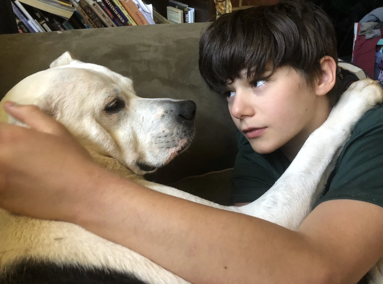 Emotional support dog with a child in Georgia