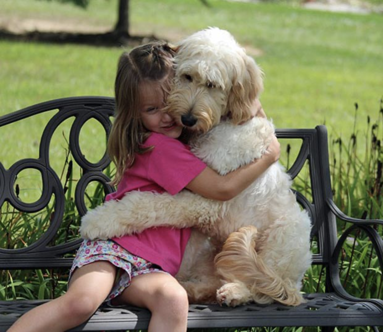 Girl hugging her emotional support labradoodle on a park bench