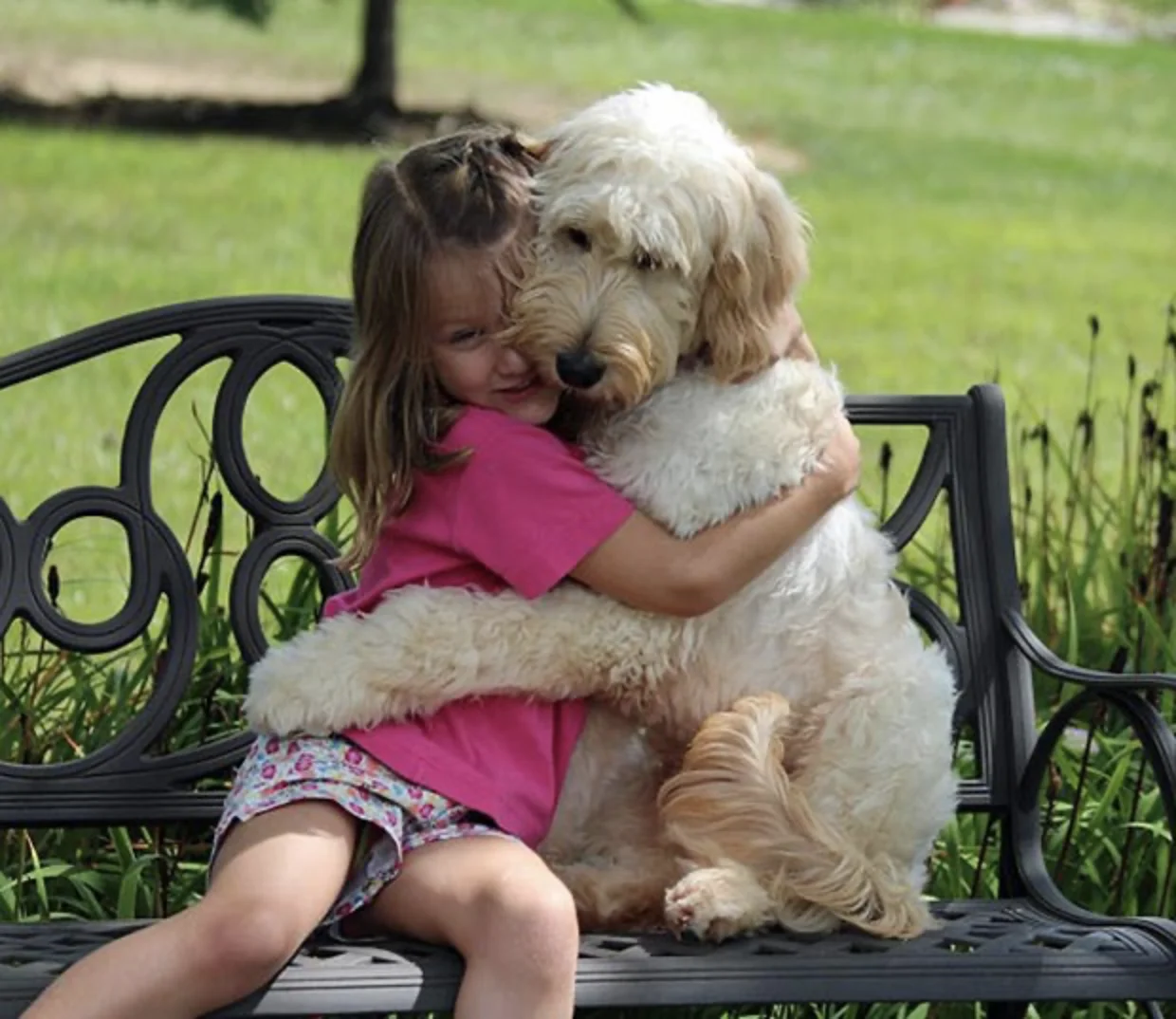 Girl hugging her emotional support labradoodle on a park bench