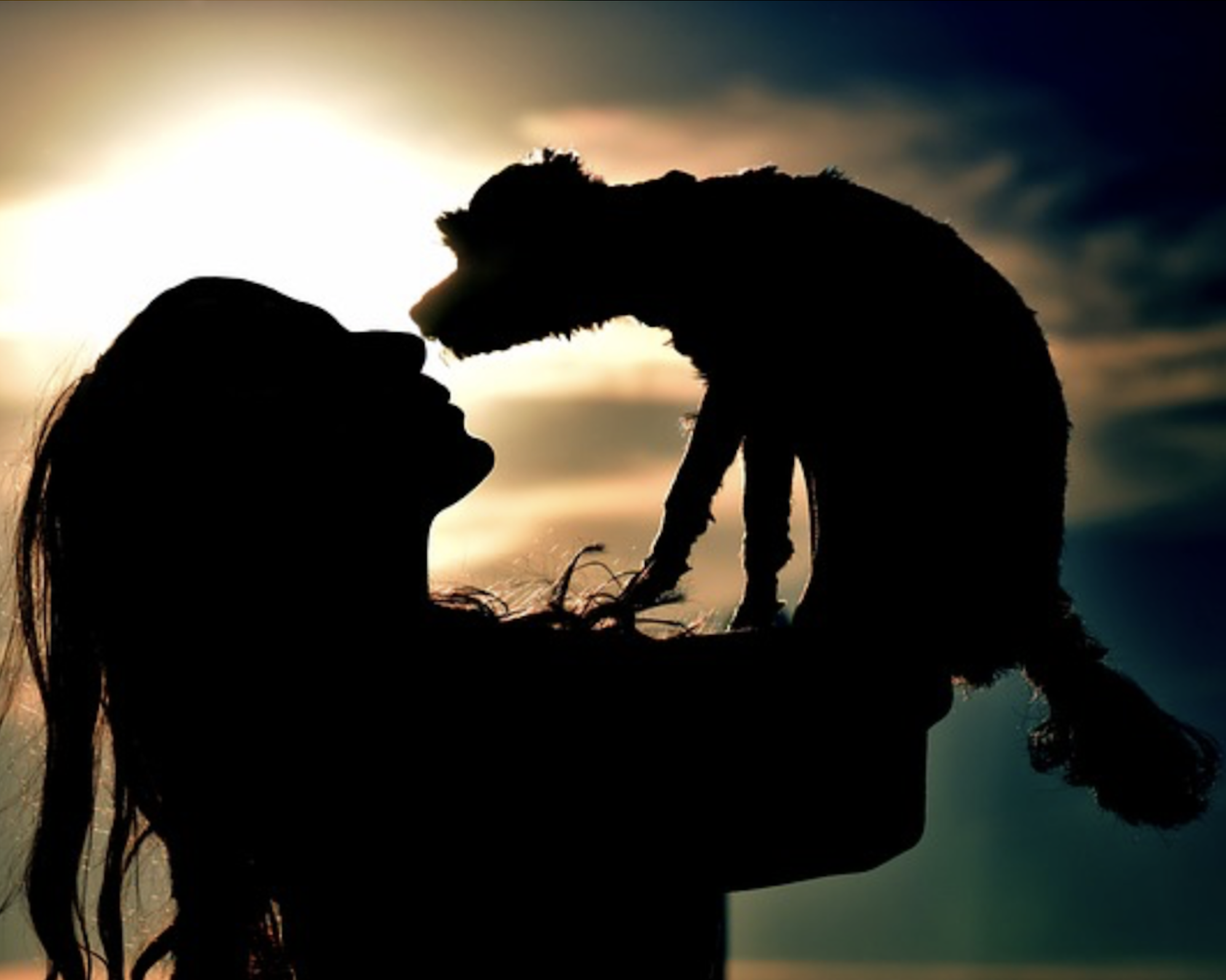 Woman holding her dog in the sunset