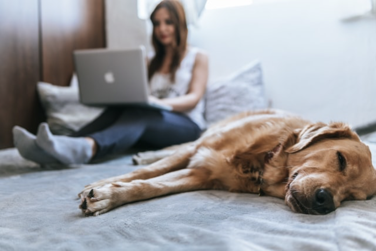 College student with her emotional support dog on a dorm bed — emotional support animals in college dorms