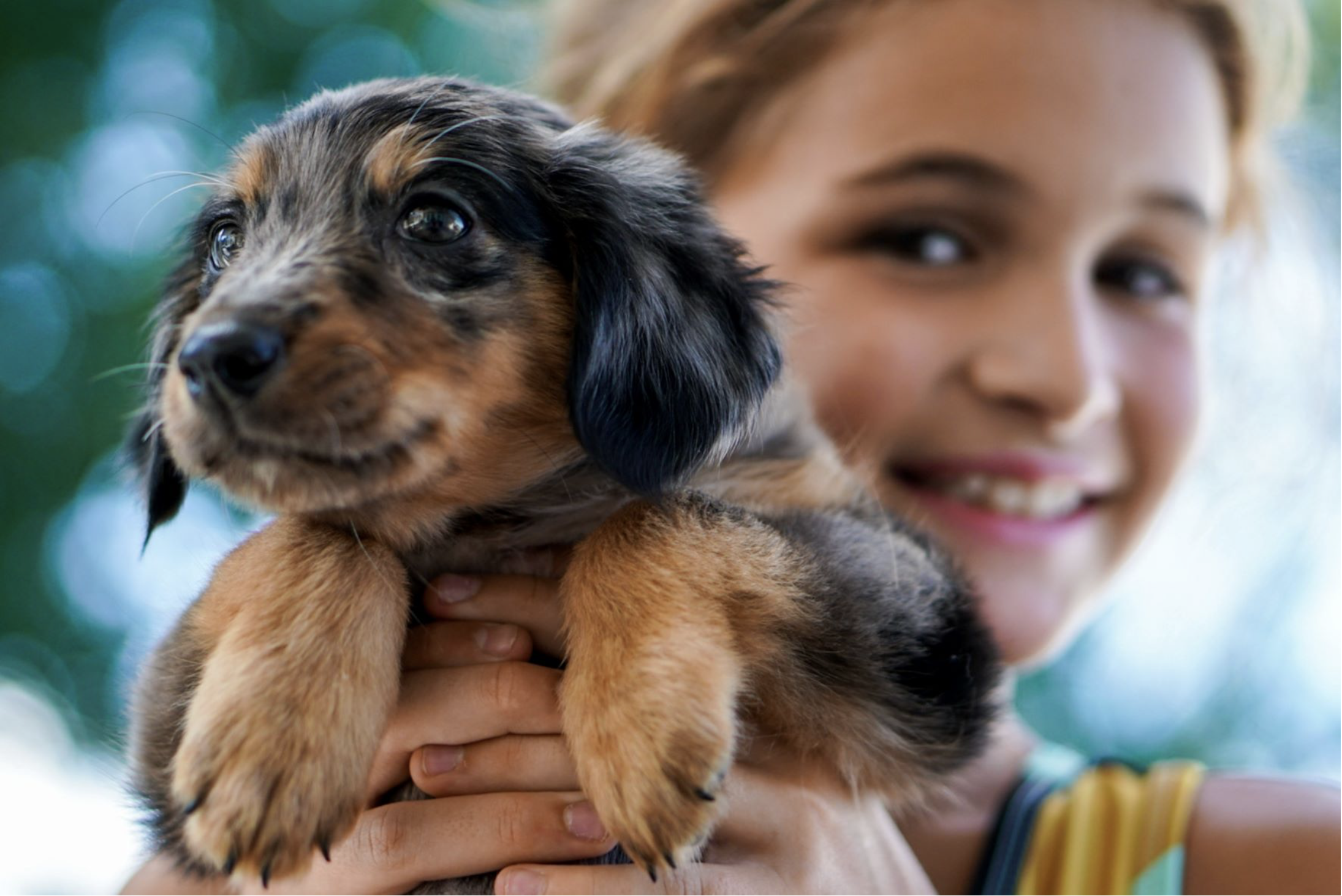 Young girl holding her emotional support puppy