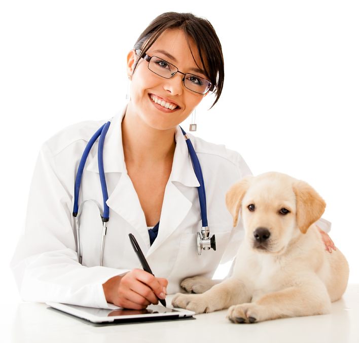 ESA-doctor-with-dog-to show how to get an ESA letter