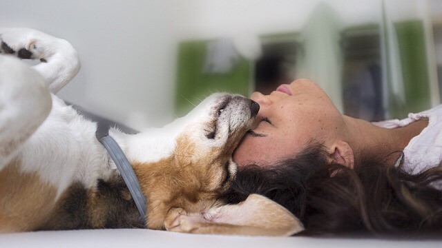 young woman and ESA dog touching heads for Who We Help