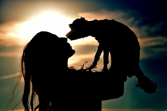Woman with Emotional Support Dog in sunset