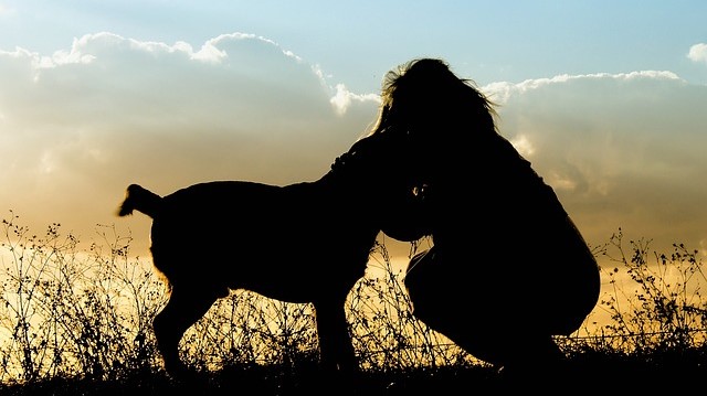 sillouette of girl with an Emotional Support Animal